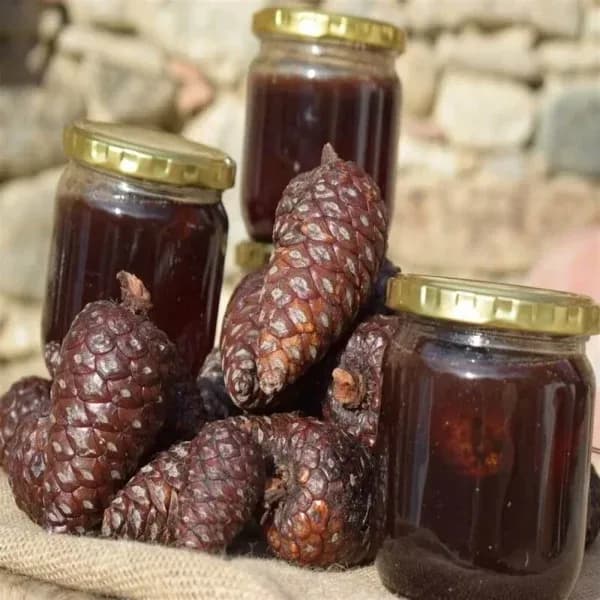 Şekersiz Kozalak Şurubu 660 ml